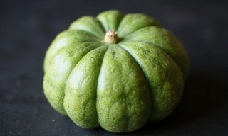 Gorzki Melon